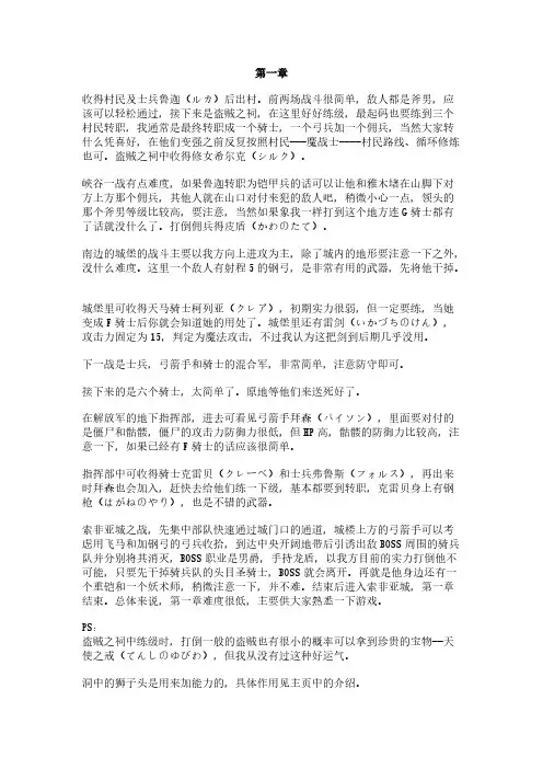 圣火徽章外传老手攻略