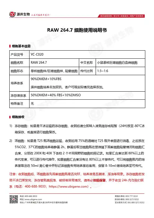 RAW 264.7 细胞使用说明书
