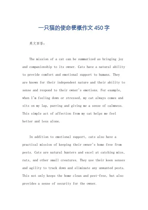 一只猫的使命梗概作文450字