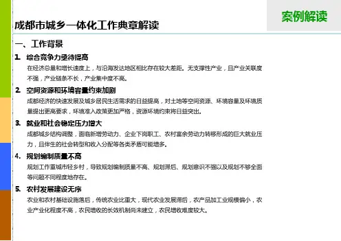 城乡一体化案例分析
