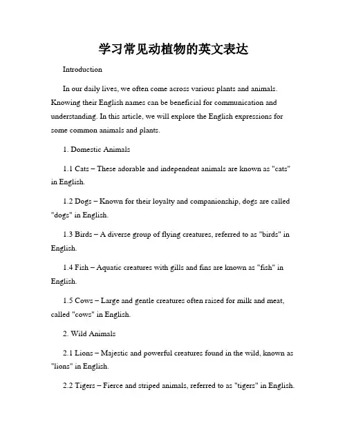 学习常见动植物的英文表达