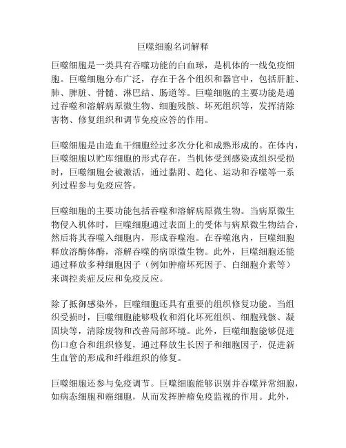 巨噬细胞名词解释