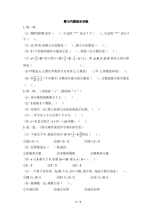 北师大版六年级数学下册  数与代数 同步练习(含答案)