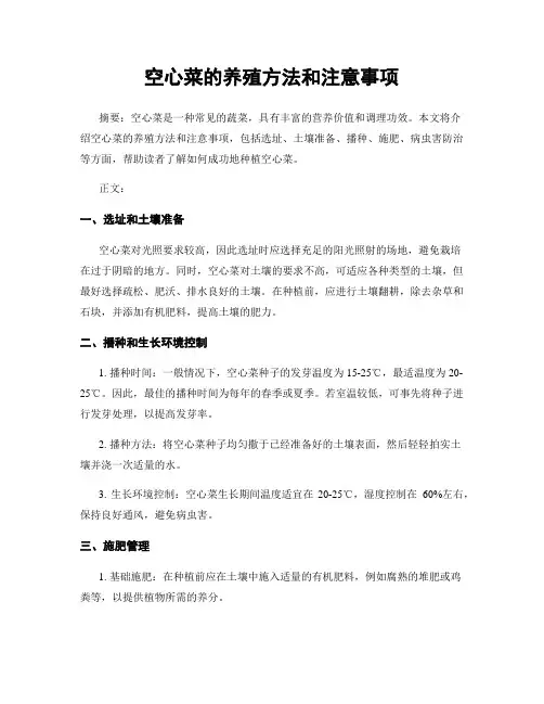 空心菜的养殖方法和注意事项