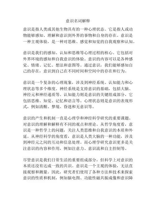 意识名词解释