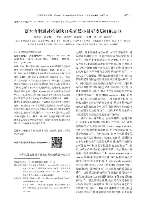藁本内酯通过抑制铁自噬延缓小鼠听皮层组织衰老