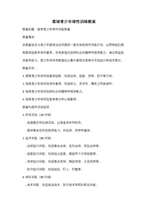 篮球青少年球性训练教案