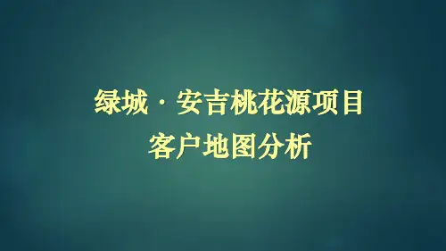 桃花源客户分析报告