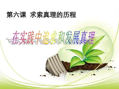 在实践中追求和发展真理.ppt