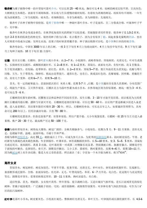 银杏树为裸子植物中唯一的中型宽叶落叶乔木