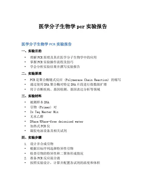 医学分子生物学pcr实验报告