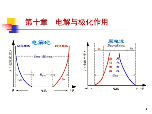 10电解与极化作用资料