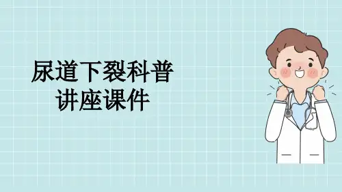 尿道下裂科普讲座课件