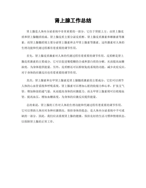 肾上腺工作总结