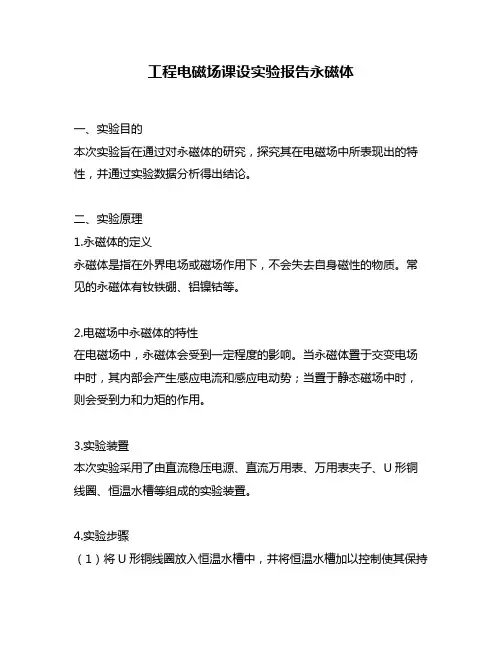 工程电磁场课设实验报告永磁体