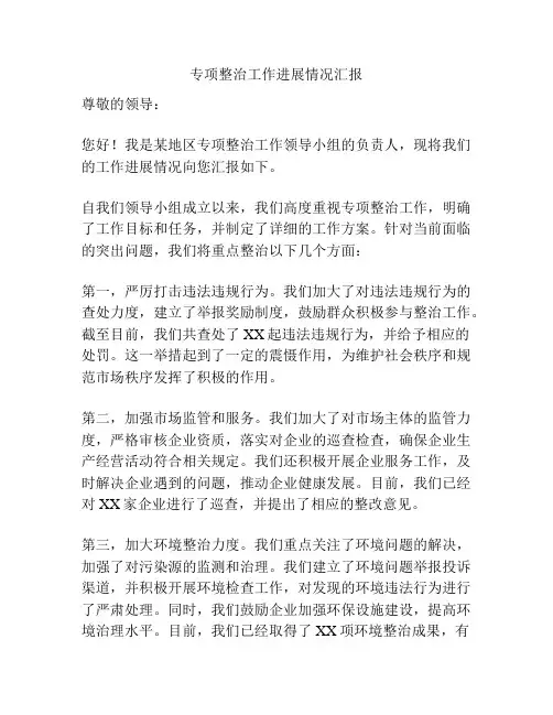 专项整治工作进展情况汇报