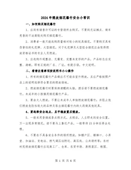 2024年燃放烟花爆竹安全小常识(三篇)