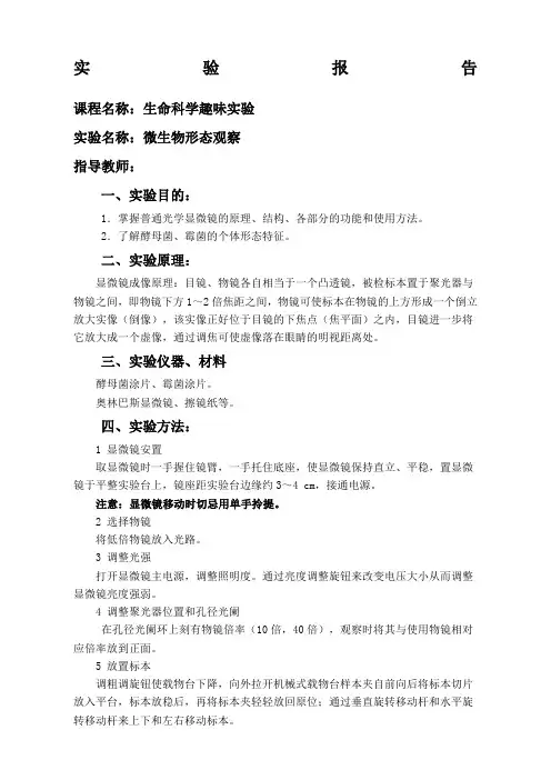 微生物形态观察实验报告