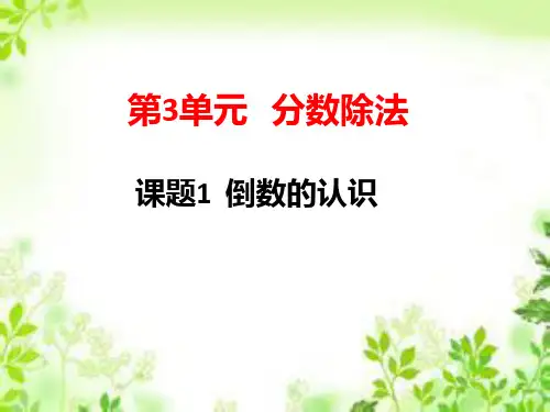 六年级上册数学课件3.1倒数的认识人教新课标(共19张PPT)
