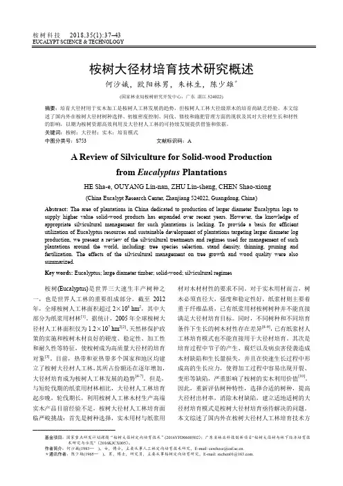 桉树大径材培育技术研究概述