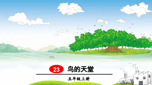 〔部编版〕鸟的天堂_公开课PPT2_ppt
