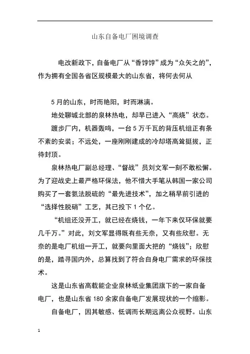 山东自备电厂困境调查