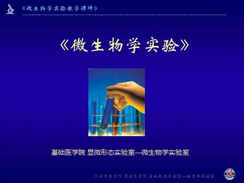 实验四、中药蜜丸的微生物检查