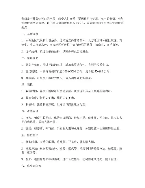 种植葡萄全年管理技术要点