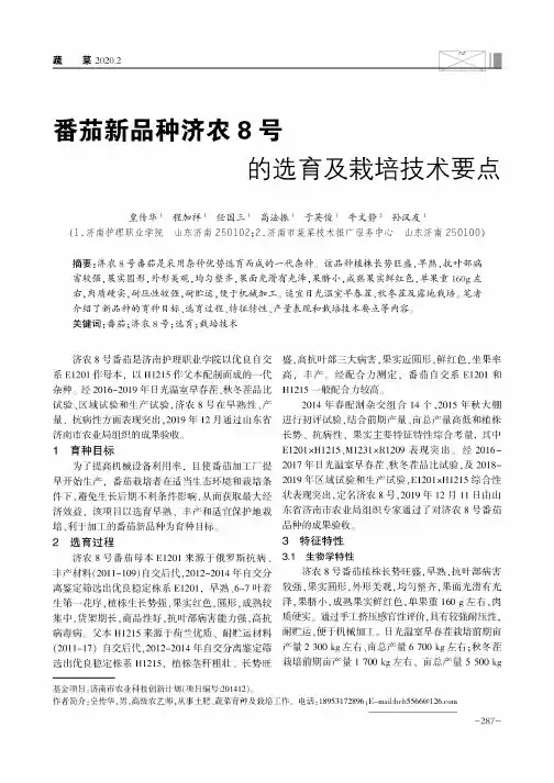 番茄新品种济农8号的选育及栽培技术要点