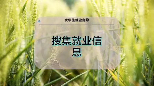 搜集就业信息