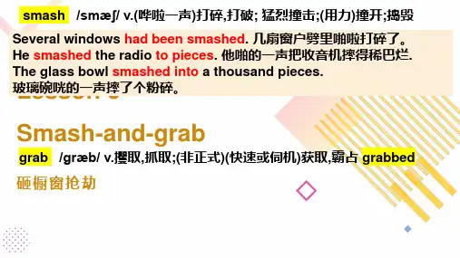 新概念英语第三册Lesson 6 Smash-and-grab