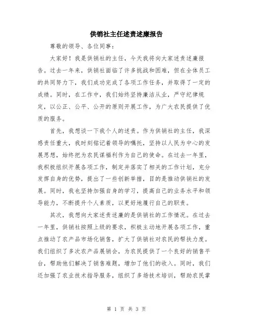供销社主任述责述廉报告