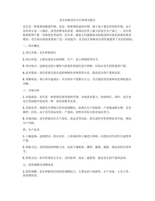 花生种植项目可行性研究报告