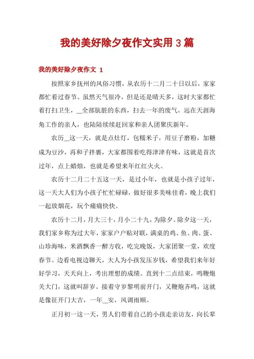 我的美好除夕夜作文实用3篇