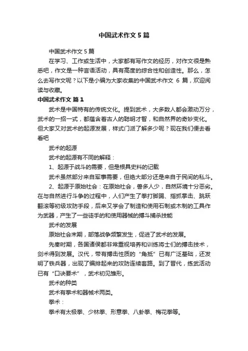 中国武术作文5篇