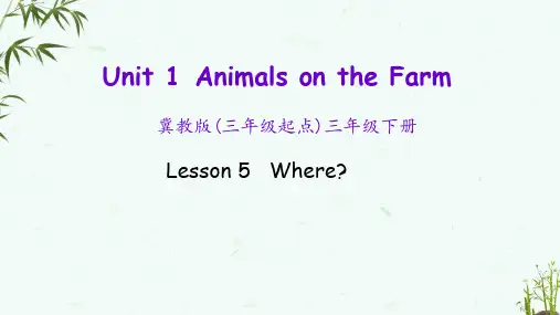 冀教版英语三年级下册《 Lesson 5》教学课件