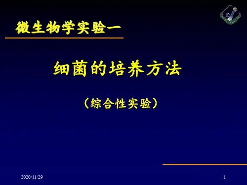 实验1细菌的培养方法 ppt课件
