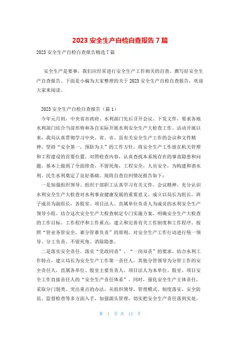2023安全生产自检自查报告7篇