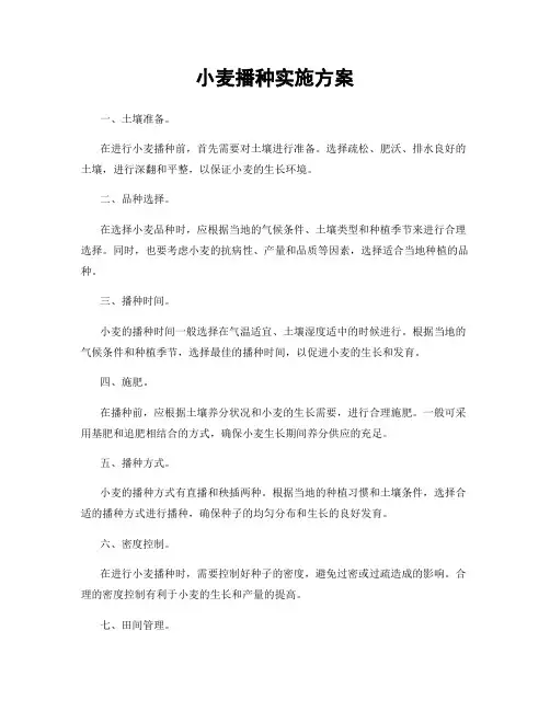 小麦播种实施方案