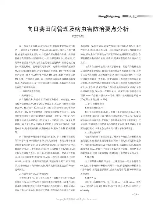 向日葵田间管理及病虫害防治要点分析