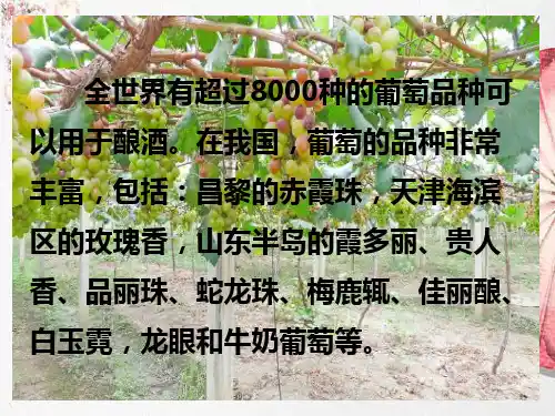 新版人教版生物选修一课题1果酒和果醋的制作(共40张PPT)学习演示PPT课件