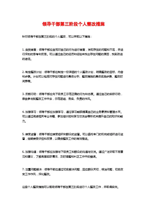 领导干部第三阶段个人整改措施
