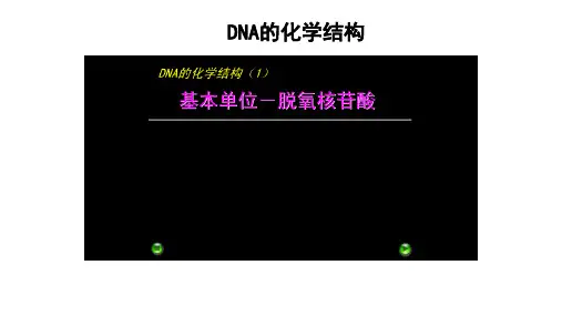 高中生物必修二动画大全PPT课件