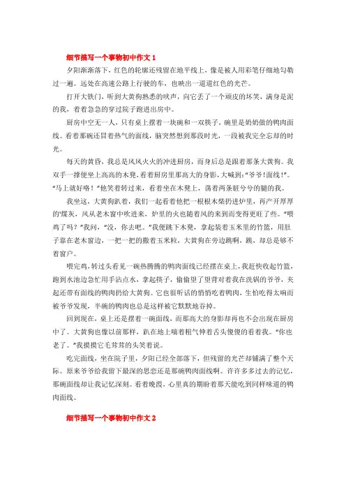细节描写一个事物初中作文