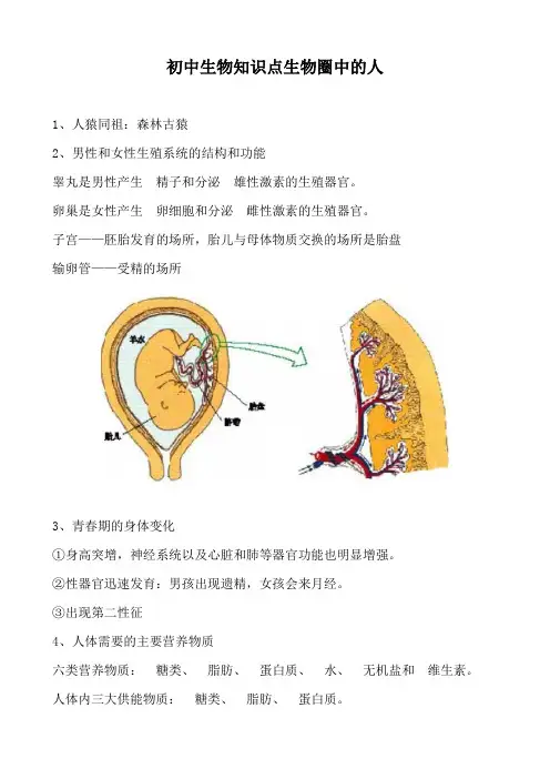 初中生物知识点生物圈中的人