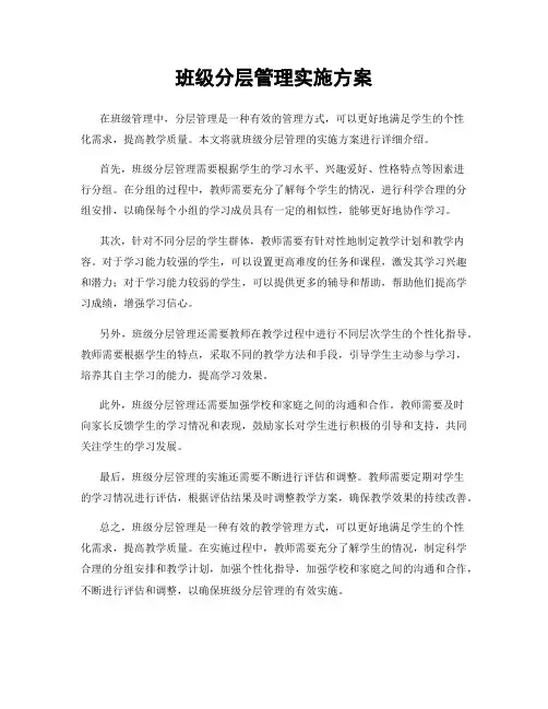 班级分层管理实施方案