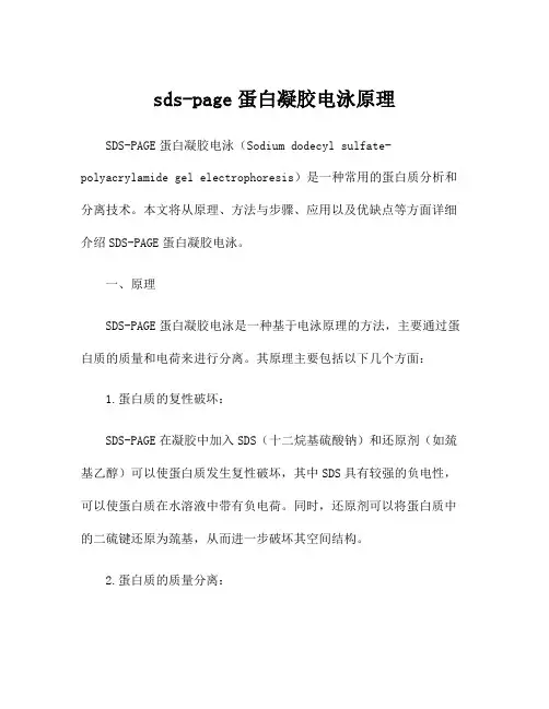 sds-page蛋白凝胶电泳原理