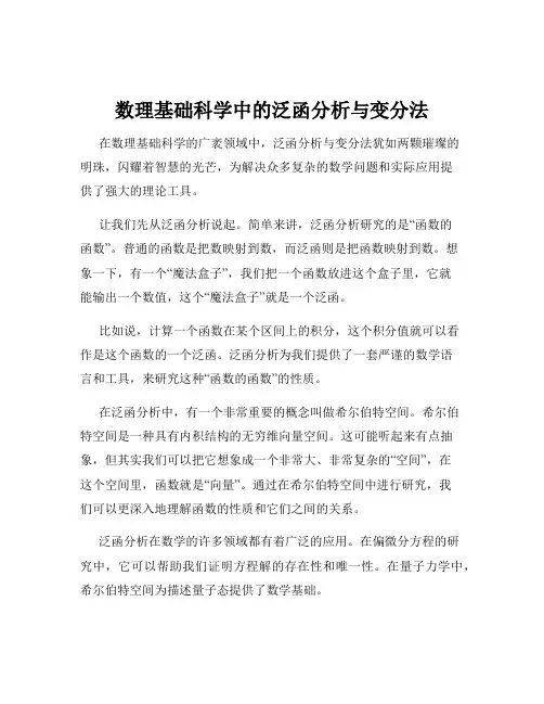 数理基础科学中的泛函分析与变分法