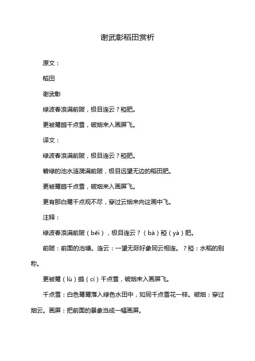 谢武彰稻田赏析