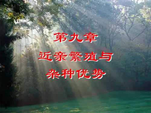 第9章杂种优势